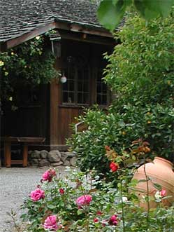 Click photo to enter site