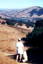 Enjoying Marin's trails