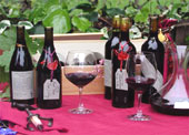 Heslip Family robust reds